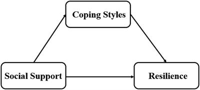 Impact of social support on the resilience of youth: mediating effects of coping styles